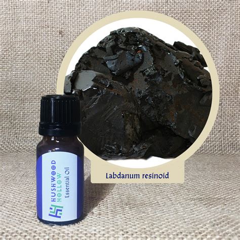 labdanum resinoid good scents.